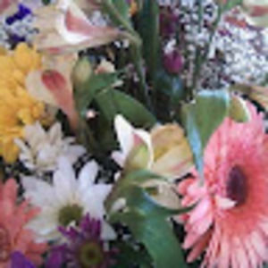 Meet your Posher, Mary